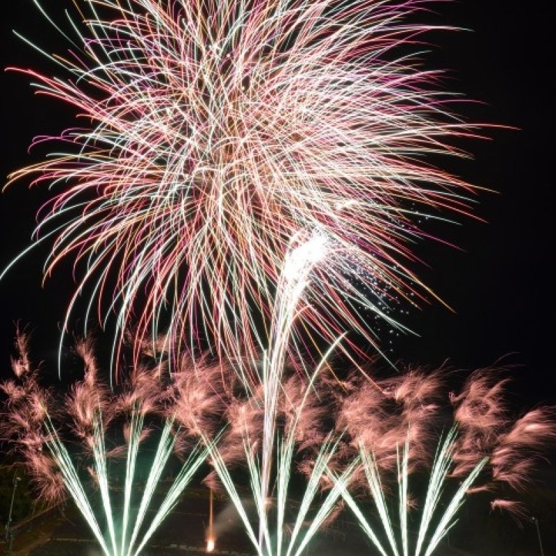🌸 나카후라노 정영 라벤더원 (나카후라노 초에이 라벤다 엔) 이미지 9